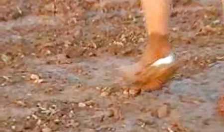 கண்டுபிடிக்க 12 பார்க்க அழகான ஆபாச வீடியோக்கள்