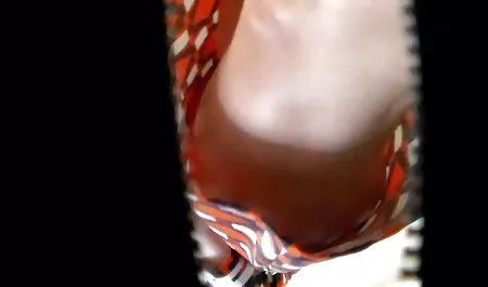 டைனி குற்றவியல் சக் போலீசார் டிக் சிறைக்கு அழகான prono வெளியே இலவச அட்டை